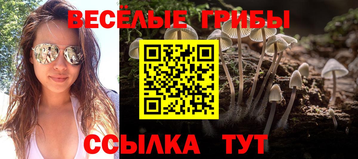 Псилоцибиновые грибы Magic Shrooms Острогожск